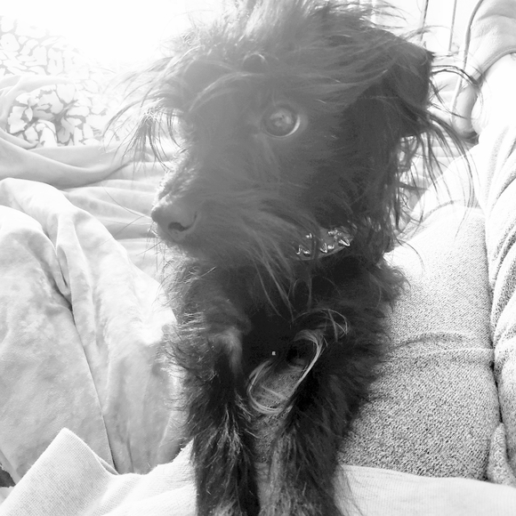 Meet your Posher, Sarah - Picture 5 of 16